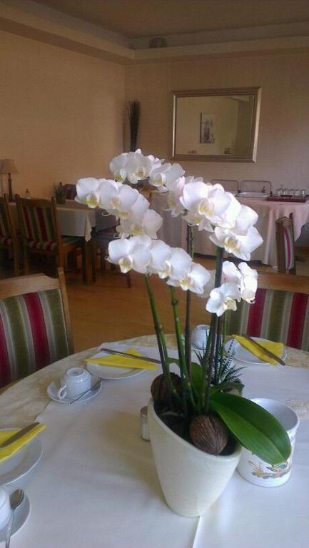 Hotel Refrather Hof Bergisch Gladbach Kültér fotó